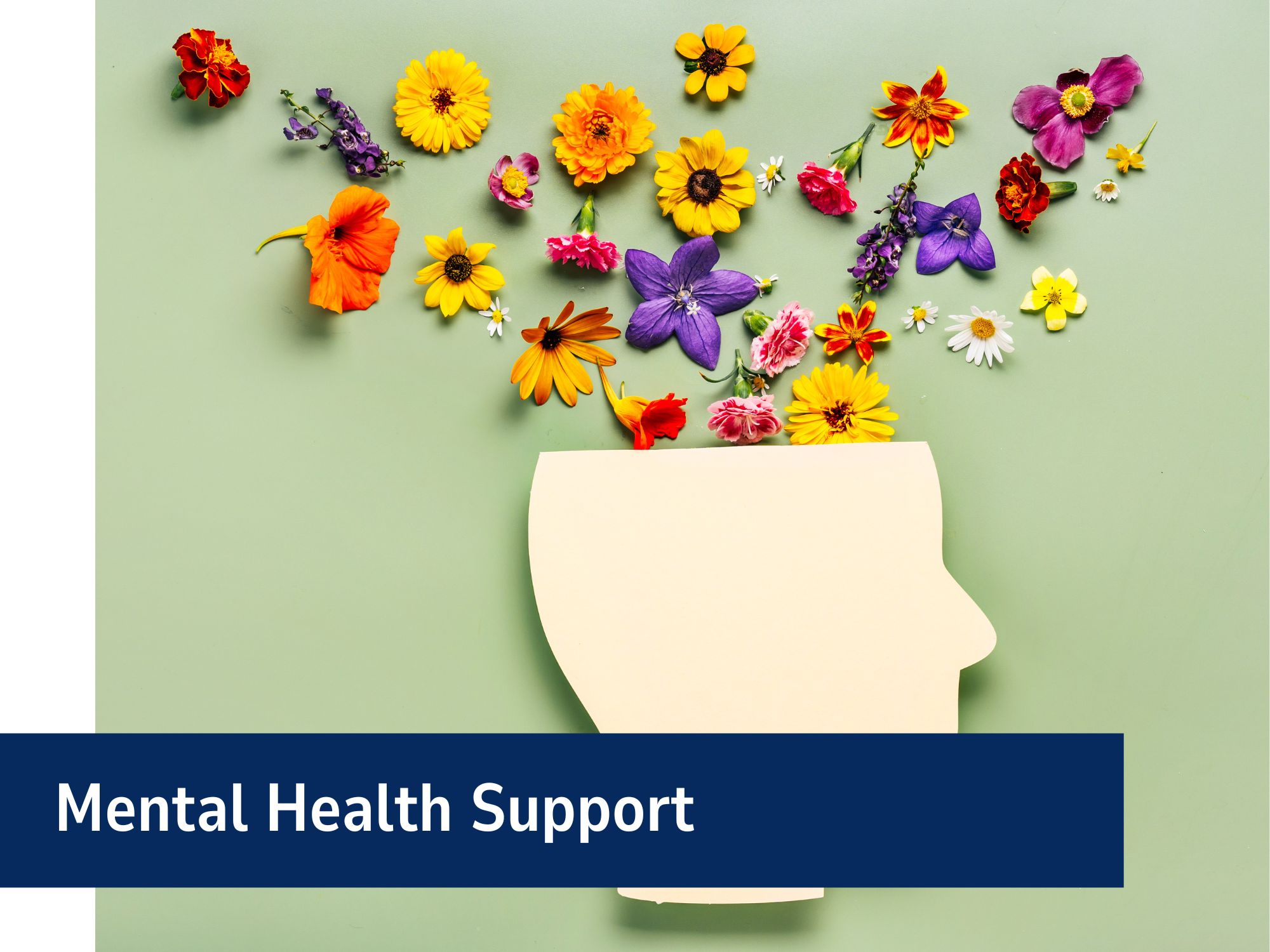 Mental Health Support Banner (2)