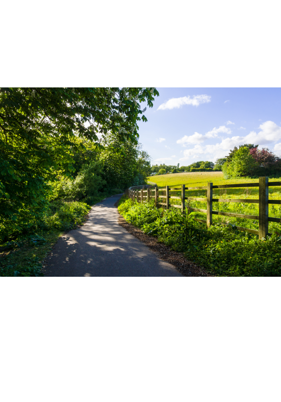 Countryside