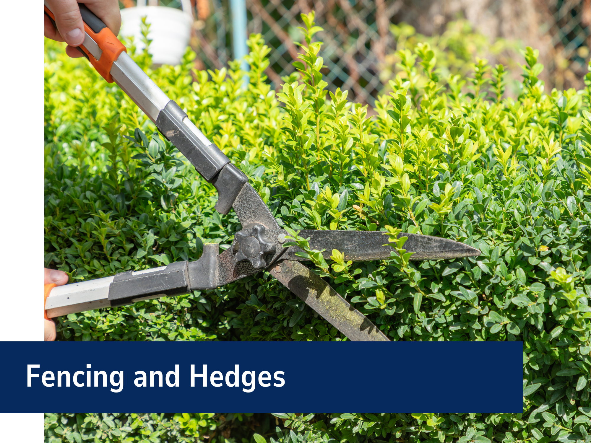 Fencing And Hedges Banner (2)