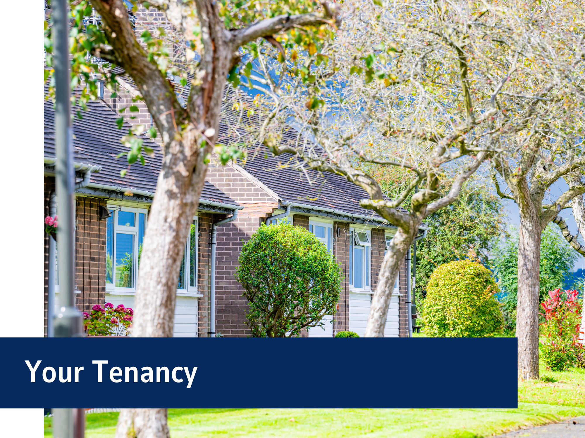 Your Tenancy Banner