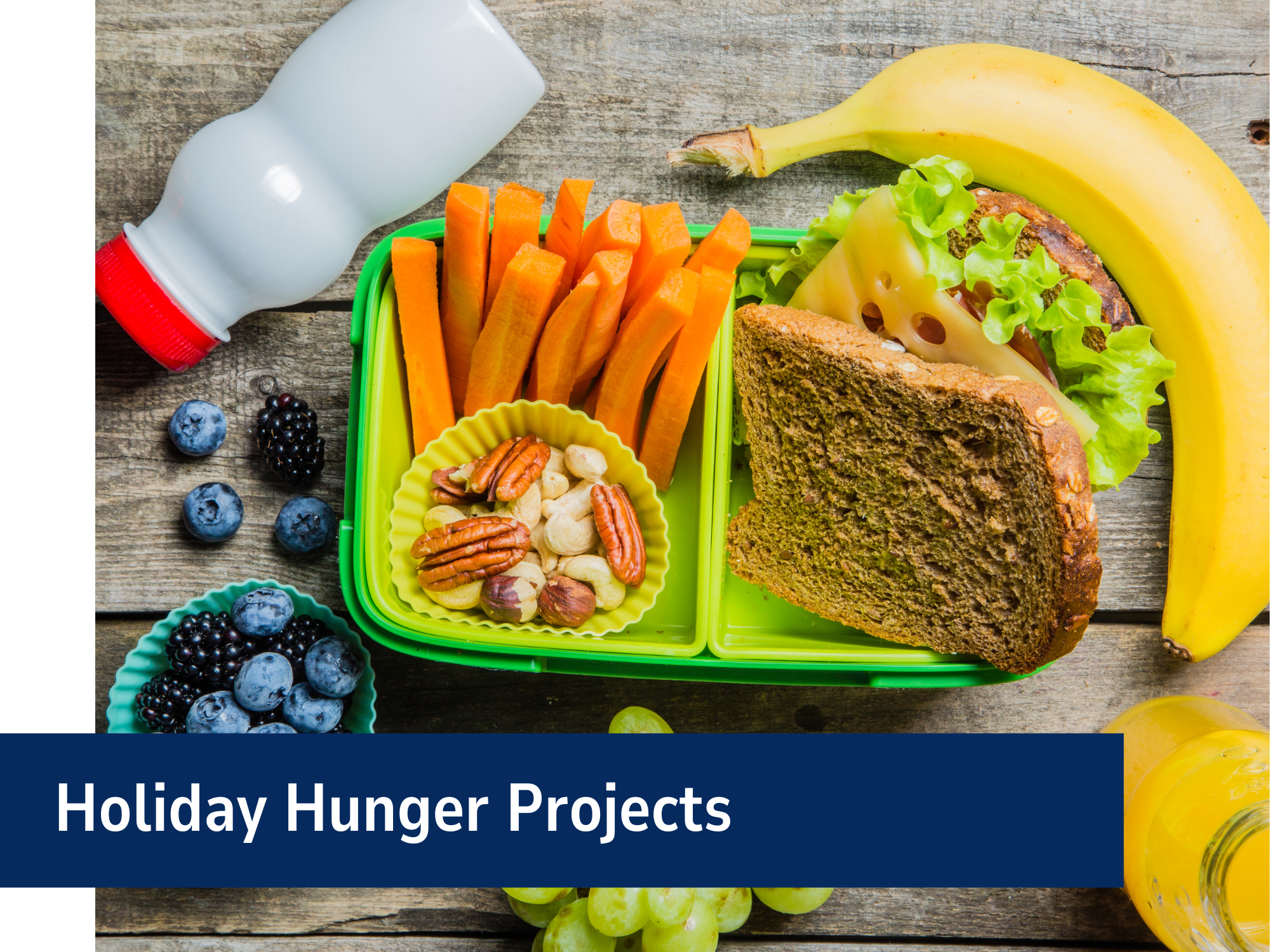 Holiday Hunger Projects Banner