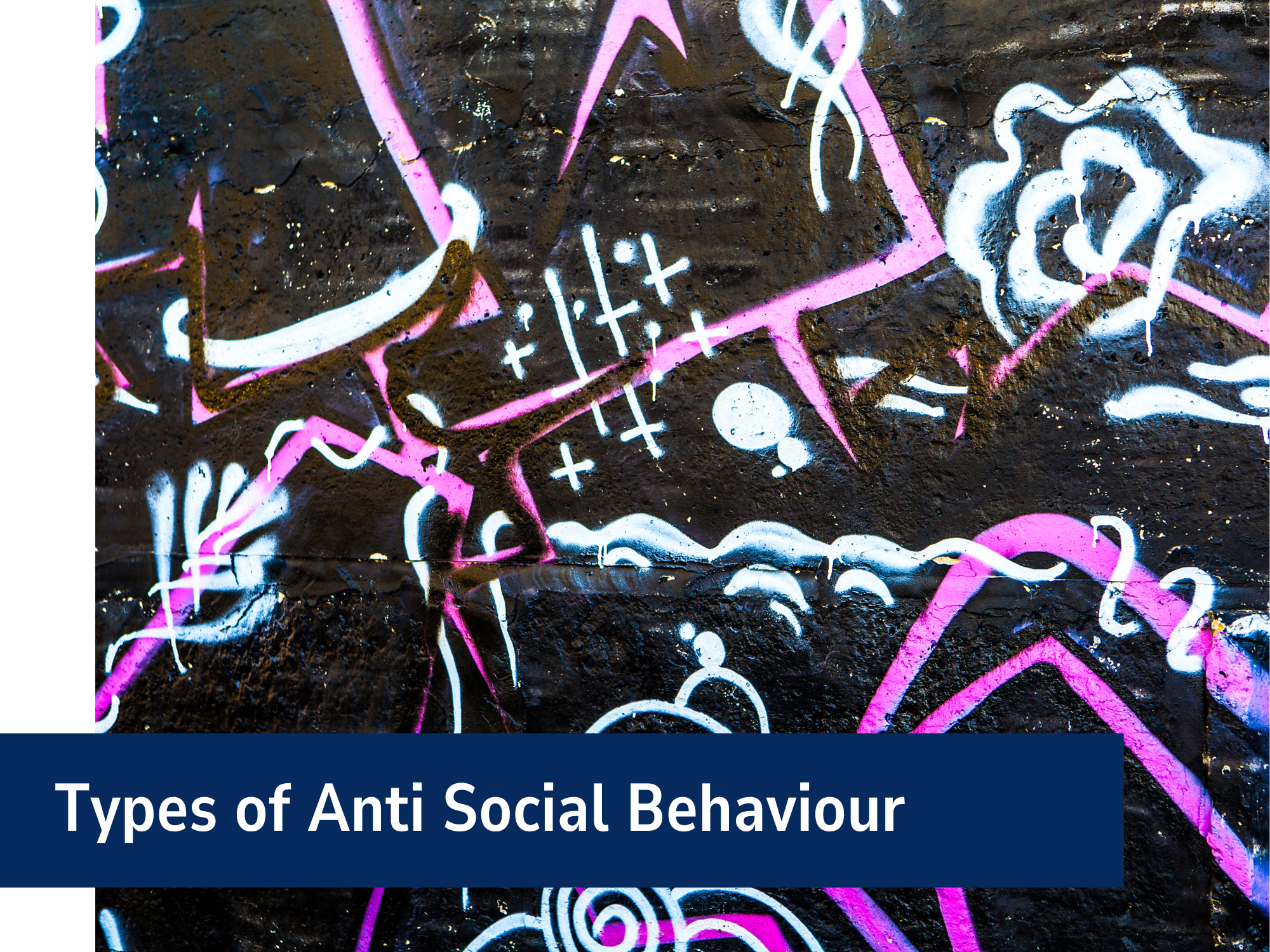 Types Of Anti Social Behaviour Banner