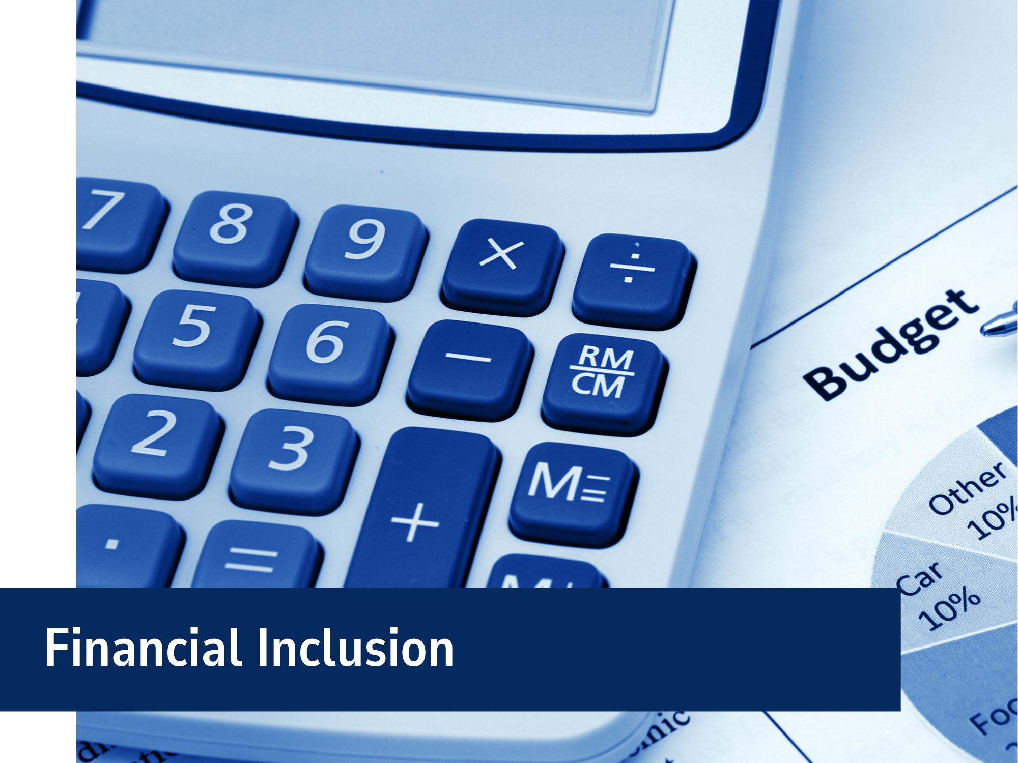 Financial Inclusion Banner