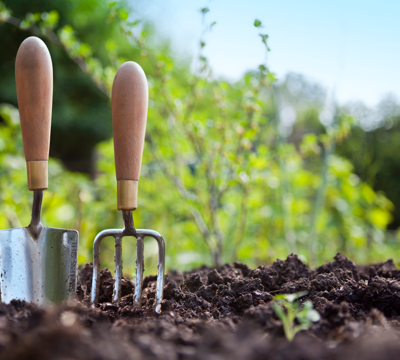 Gardening Competition Page Banner