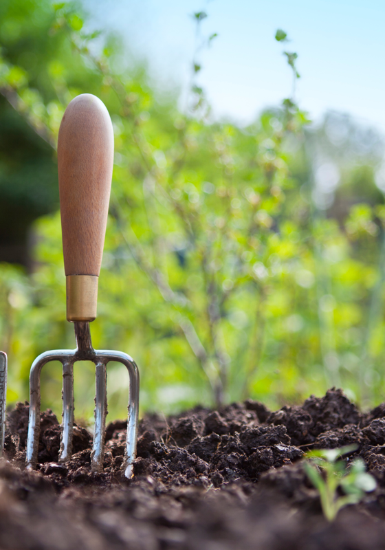 Gardening Competition Page Banner