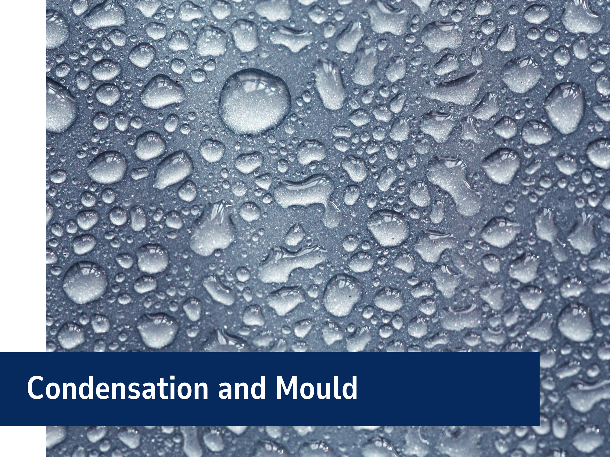 Condensation And Mould Banner