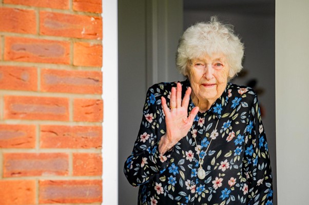 Pine View Photo For Social Media And Website