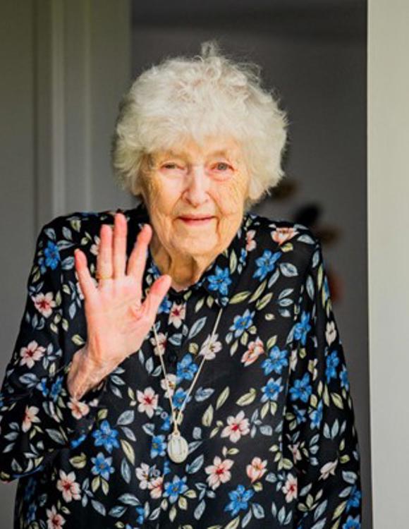 Pine View Photo For Social Media And Website