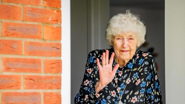 Pine View Photo For Social Media And Website